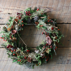 クリスマスリース　ブランド　一点物 クリスマス2023・creema限定】☆一点物☆ 森のクリスマスリース リース