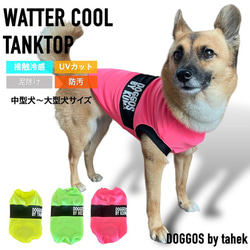 中型犬～大型犬服 冷感 タンクトップ　ウォータークール　泥除け 撥水cool ひんやり 1枚目の画像