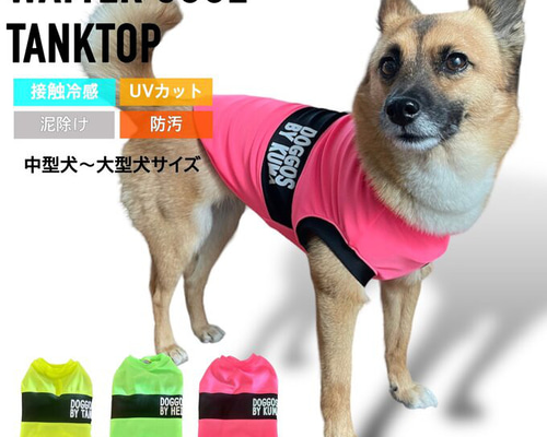 afb5fccfca3de0d5942e3c3dcf915c