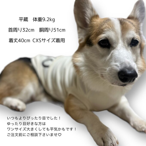コーギー服 パーカー タンクトップ あったか ネオン スウェット コーギー服 パーカー タンクトップ あったか ネオン スウェット