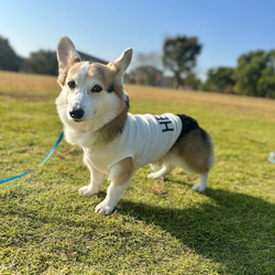 中型犬〜大型犬服　パーカー　タンクトップ　あったか　ネオン　スウェット　犬服　クロス　サーモ 17枚目の画像