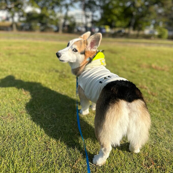 中型犬〜大型犬服　パーカー　タンクトップ　あったか　ネオン　スウェット　犬服　クロス　サーモ 18枚目の画像