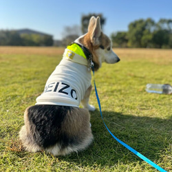 中型犬〜大型犬服　パーカー　タンクトップ　あったか　ネオン　スウェット　犬服　クロス　サーモ 15枚目の画像