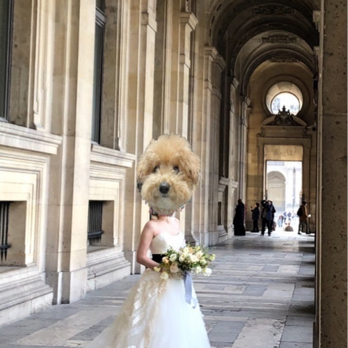 ウェディングドレス ちょっとお揃いドレスくまさん用 その他オーダー