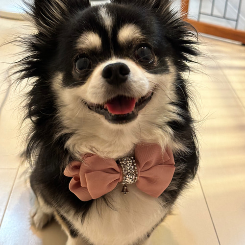 ◇新作◇犬猫用 ピンク リボンチョーカー 犬チョーカー 猫