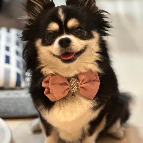 ピンクハウス★ラビットファー襟ポンチョ★チョコレートブラウン 可愛いリボン ピンクハウス☆ラビットファー襟ポンチョ☆チョコレートブラウン