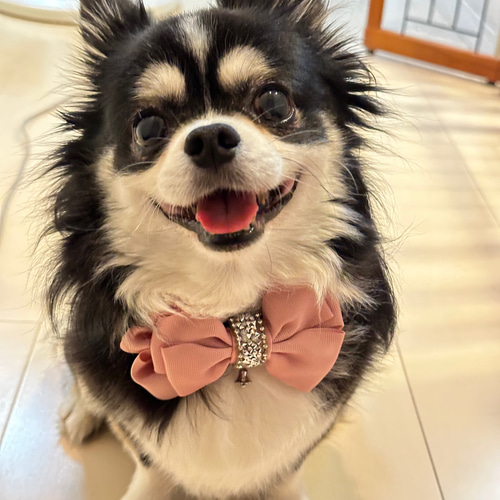 ももねこさん】Harmonia チョーカー フローティングクリスタル新品未