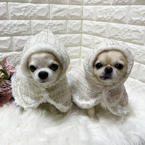 お名前刺繍可能✨】リバーシブル 犬服 コート ケープ ポンチョ ペット