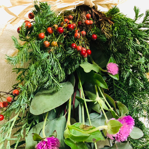 ドライフラワースワッグ ユーカリ ノバラ ヒムロスギ 千日紅