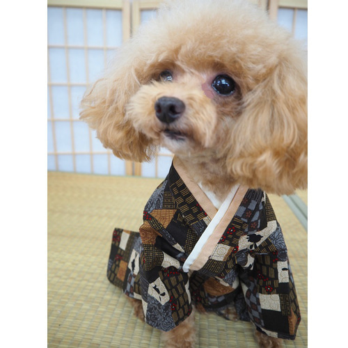 袴 はかま 和服 和装 和柄 七五三 イベント お正月 卒業式 犬 猫 袴 はかま 和服 和装 和柄 七五三 イベント お正月 卒業式 犬 猫