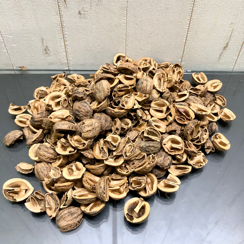 鬼胡桃 オニグルミ 500グラム その他インテリア雑貨 PLANTS SHOP OLIVE