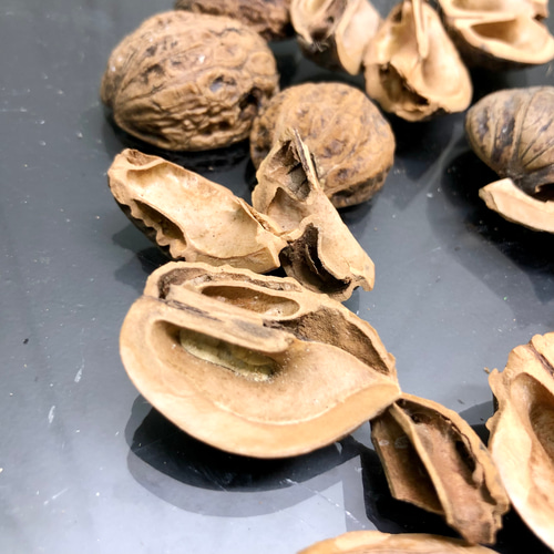 鬼胡桃 オニグルミ 500グラム その他インテリア雑貨 PLANTS SHOP OLIVE