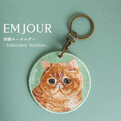 エキゾチックショートヘア　/ ワイヤーアート　ワイヤークラフト ワイヤーアート 