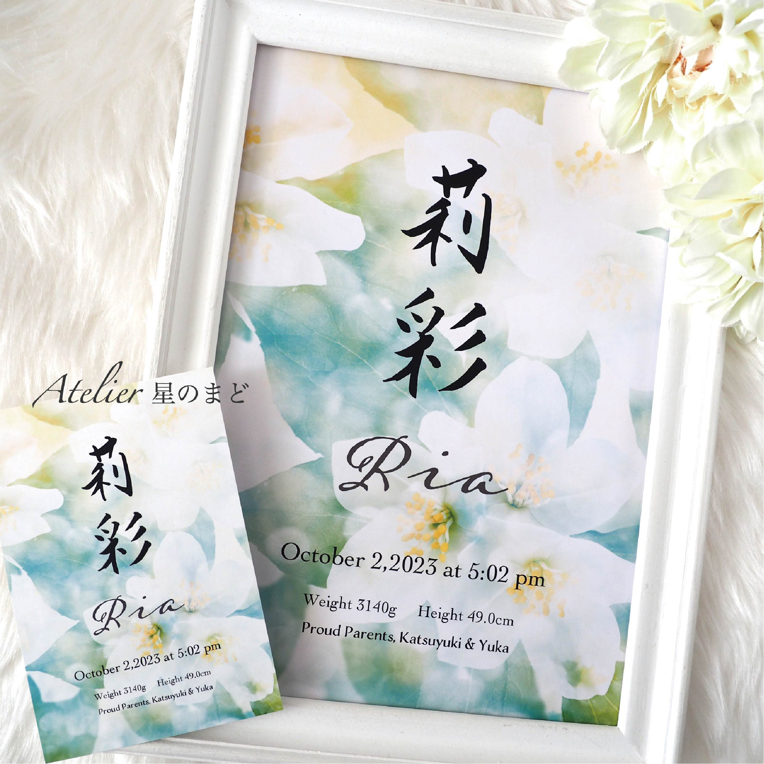 ジャスミンさま専用 ジャスミンさま専用 ジャスミンさん専用 Amazon | KN企画