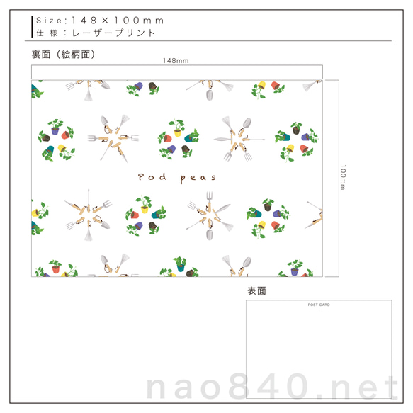 ポストカード　インテリアとしても　ファームシリーズ　可愛らしい野菜の新芽のPOP絵柄　4枚組　Type A 9枚目の画像