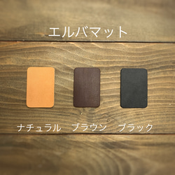 Pixie Wallet R ブルーグリーン 6枚目の画像