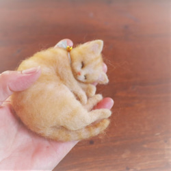 和紙バラ◆小箱ねこ　むぎΦ10cm★全国発送一律４００円 12枚目の画像