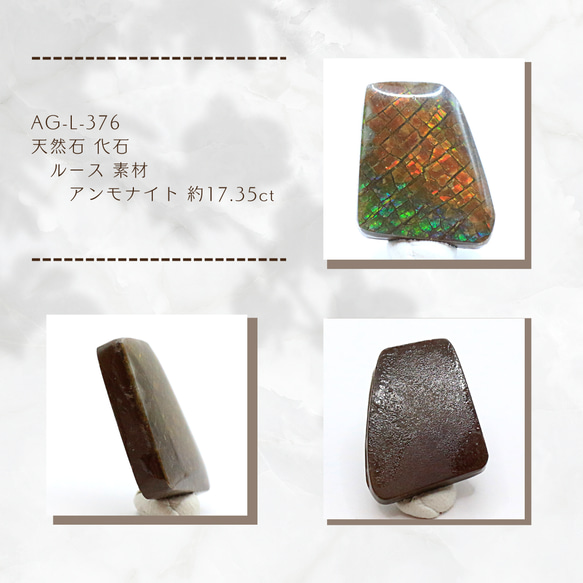 AG-L-376　天然石 化石 ルース 素材 アンモナイト 約17.35ct 1枚目の画像