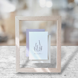 【選べるハーブ】 クリアガラスのインテリア 植物 ボタニカル 花 インテリア ハーブ アート ダンディライオン たんぽぽ 1枚目の画像
