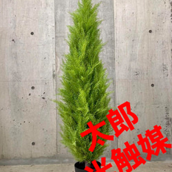 13a0eeaa11543c667f8def562809d0