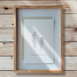 【選べるハーブ】 植物 ボタニカル 花 インテリア ハーブ アート モダン 木製 レモンバーム 1枚目の画像