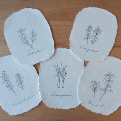 【選べるハーブ】 植物 ボタニカル 花 インテリア ハーブ アート モダン 木製 レモンバーム 6枚目の画像
