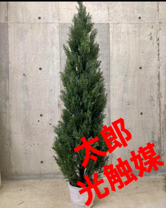 光触媒 人工観葉植物 ウォールグリーン フェイクグリーン ゴールド 
