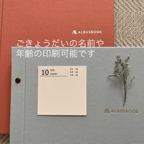 思い出記録マンスリーカード【ましかくアルバム用】 その他雑貨 Har.T