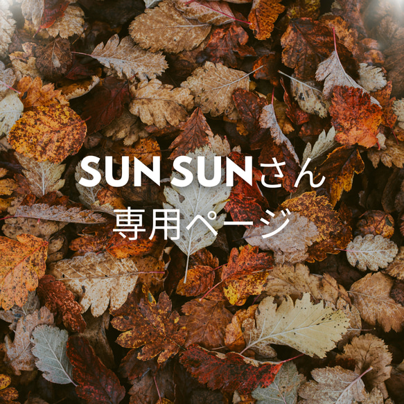 sunsunさん専用ページ 1枚目の画像