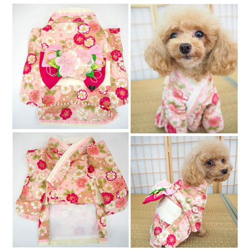 着物 和柄 和装 ドックウェア 犬服 犬の服 猫服 猫の服 ペット P714 