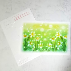 寒中お見舞いはがき2枚セット　冬の光の花・水仙　パステルアート ポストカード　 1枚目の画像