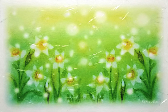 寒中お見舞いはがき2枚セット　冬の光の花・水仙　パステルアート ポストカード　 2枚目の画像