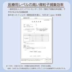 クリスマス柄マスクA（B0206） 13枚目の画像