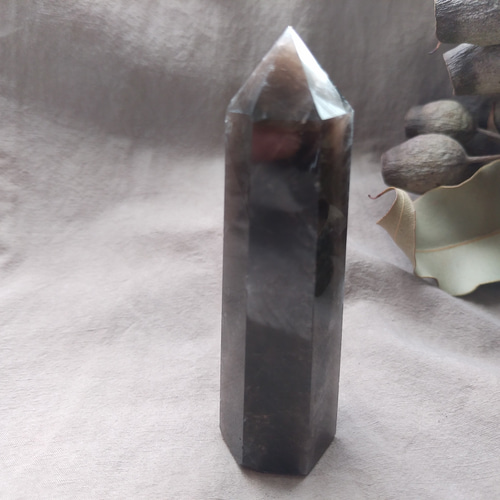 モリオン (黒水晶) 六角柱 ポイント ② その他インテリア雑貨 Clear