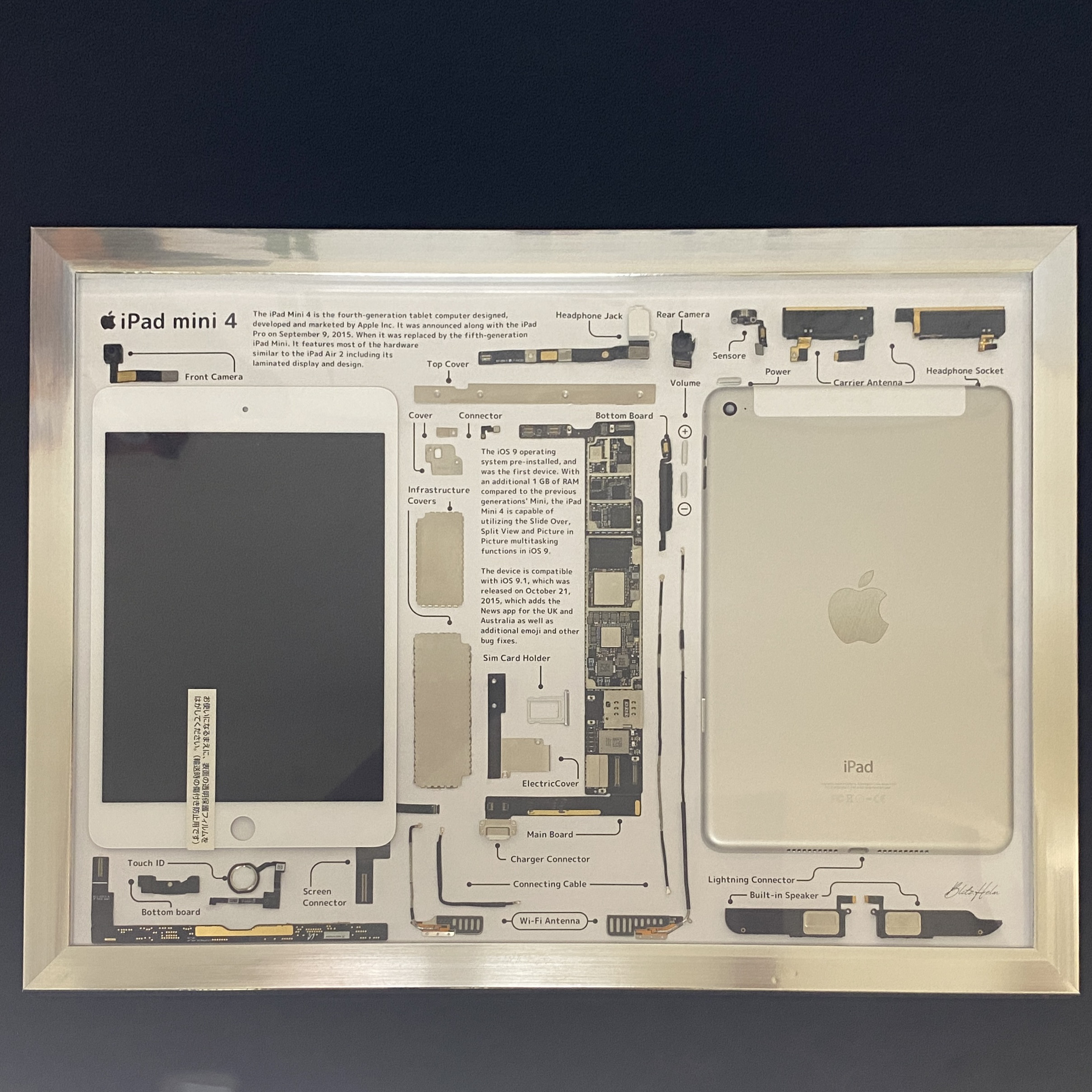 iPad mini 4世代 標本アート 自作 ボックスフレーム(A3) iPad