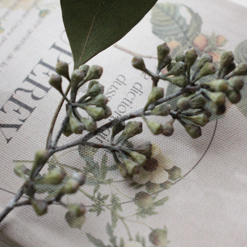 ユーカリポプルス実付き 35cm no.437 その他素材 juneberry 通販