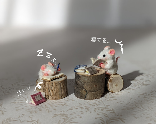 兄弟仲良し　針ネズミ　二匹 兄弟仲良し 針ネズミ 二匹 兄弟仲良し 針ネズミ 二匹 兄弟仲良し 針ネズミ