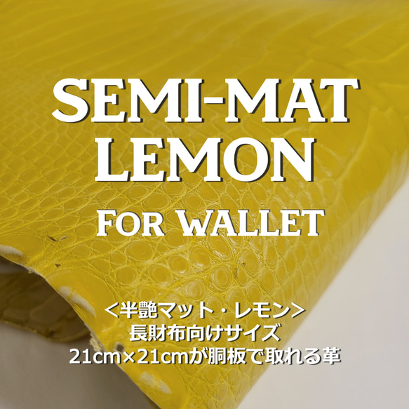 ワニ革  半艶マット  レモン（白鞣し）「長財布向け」サイズ No.CM0163 1枚目の画像