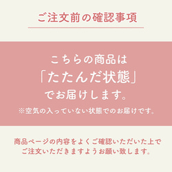 数字バルーン　誕生日　バルーン　風船　恐竜　バルーン　数字　ナンバーバルーン　パーティー　飾り　くすみカラー　バルーン 6枚目の画像