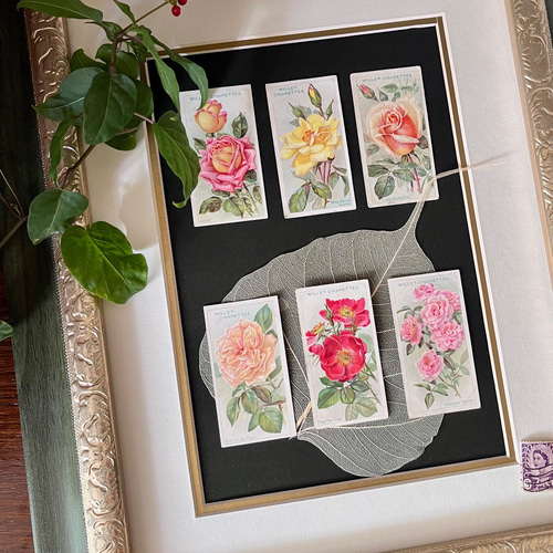 英国で出会った♪ 1910年代 アンティーク バラのシガレットカード