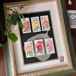 英国で出会った♪ 1910年代 アンティーク バラのシガレットカード