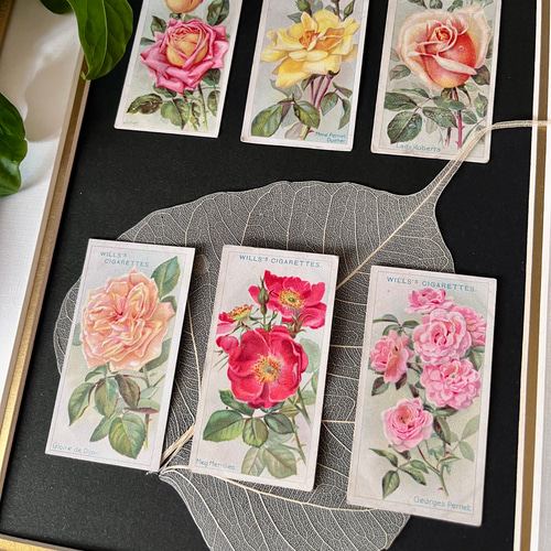 シガレットカード台紙なし 花刺繍 14枚セット イギリスアンティーク シガレットカード台紙なし 花刺繍 14枚セット イギリスアンティーク