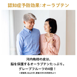 河内晩柑ピールチョコレート｜ドライフルーツ 人気 通販 敬老の日 お歳暮 クリスマス バレンタイン 5枚目の画像