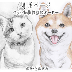 お月見ねこさんイラストポストカード・5枚セット ポストカード