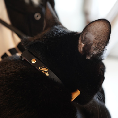 猫チョーカー 猫の首輪 名入れ 迷子防止 セーフティバックル リード