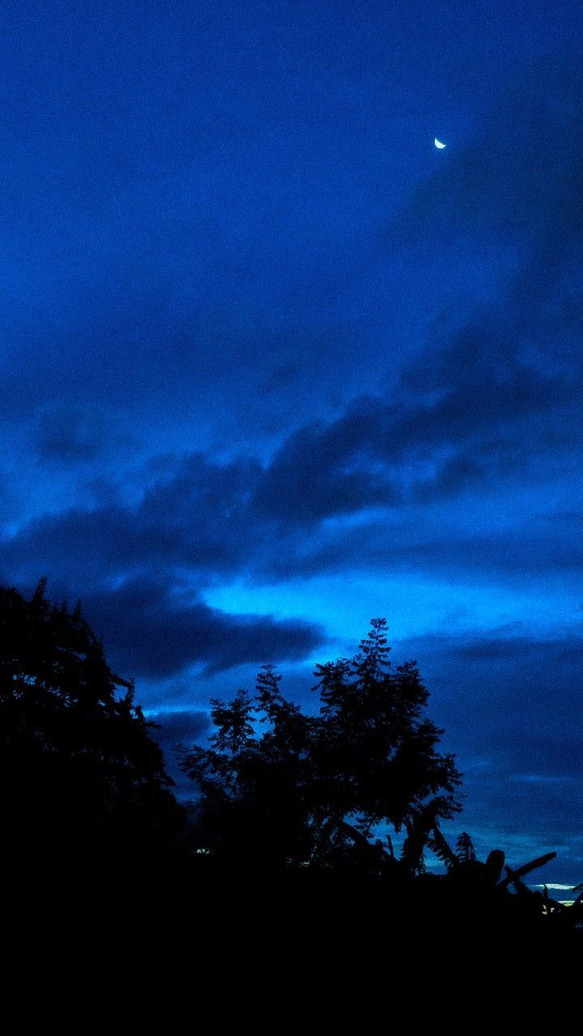 Blue Hour（ブルーアワー）シリーズについて 2枚目の画像