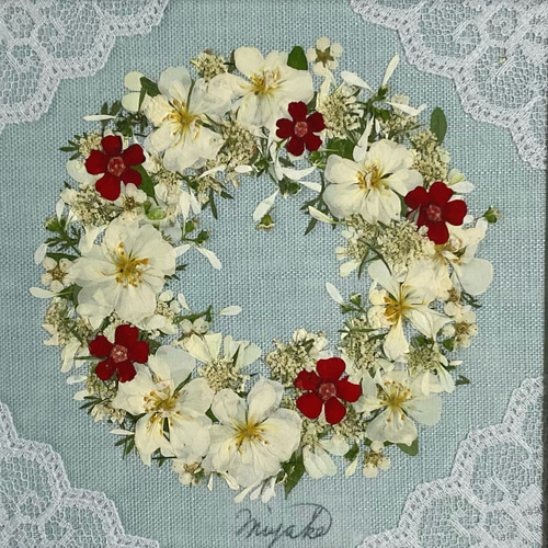 押し花 押し花アート クリーマ限定クリスマス2023 白バラ
