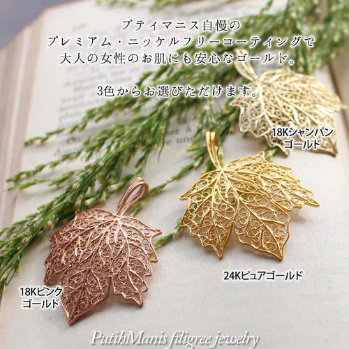 未使用 カナダ 楓 カエデ メイプルリーフ サトウカエデの葉