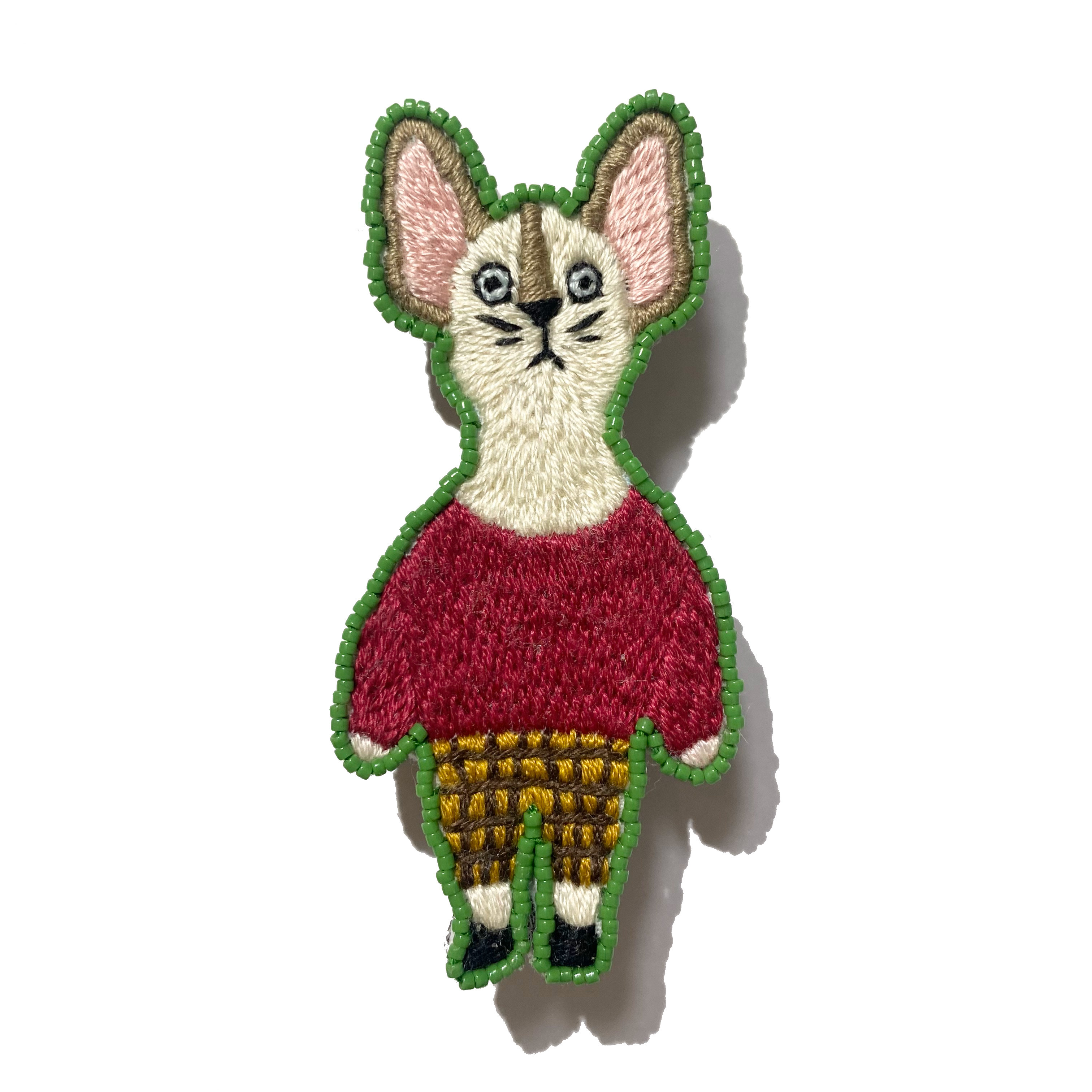 しゅっとしたコーニッシュレックス