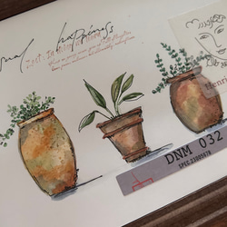 テラッコタの観葉植物 3枚目の画像
